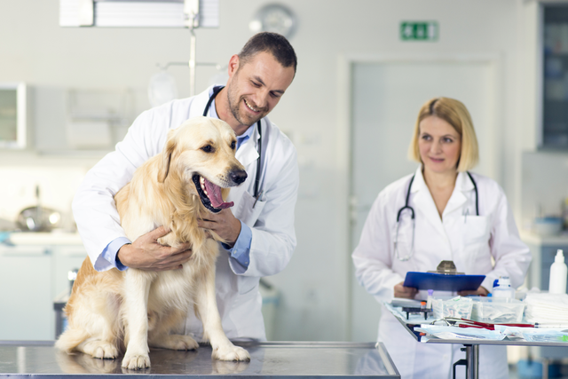 The potential application of calcitonin in veterinary medicine
