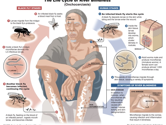 The Connection Between Skin Conditions and Other Health Issues