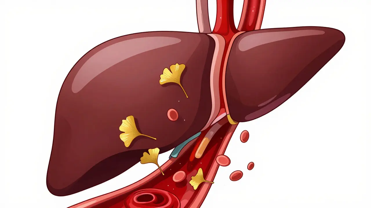 Abstract anime depiction of Ginkgo leaves interacting with blood platelets and a liver.